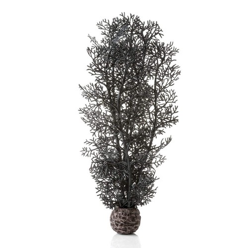 Biorb black sea fan medium - fan,