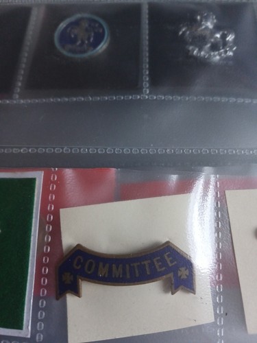 Committee badge - committee,