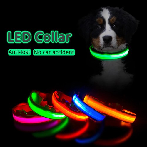 Usb rechargeable led dog - rechargeable,