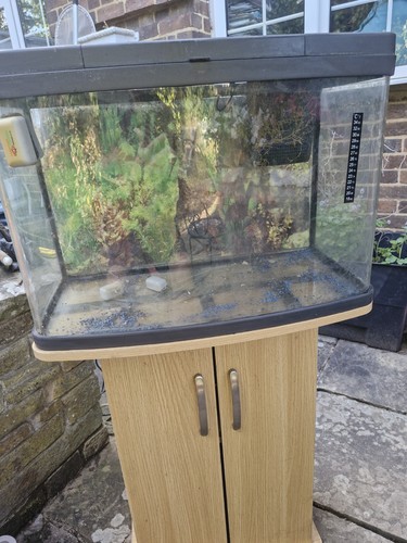 Fish tank stand - fish, on
