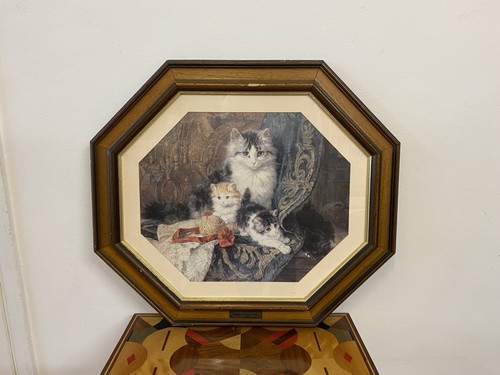 Amazing henriette ronner - amazing,