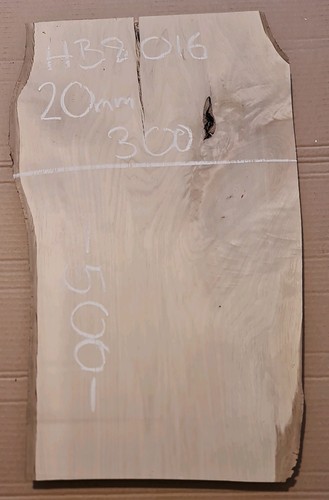 Hornbeam live edge slab - hornbeam,
