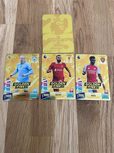 Panini premier league - premier, xl
