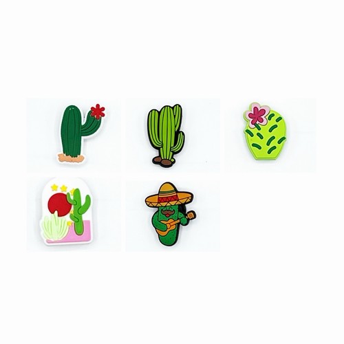 Pcs cactus succulent - 5,