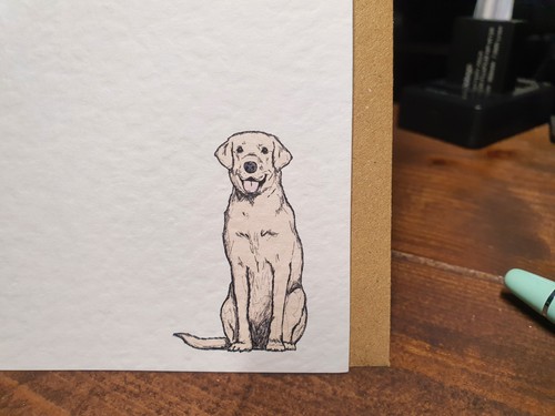 Yellow labrador luxury - yellow,