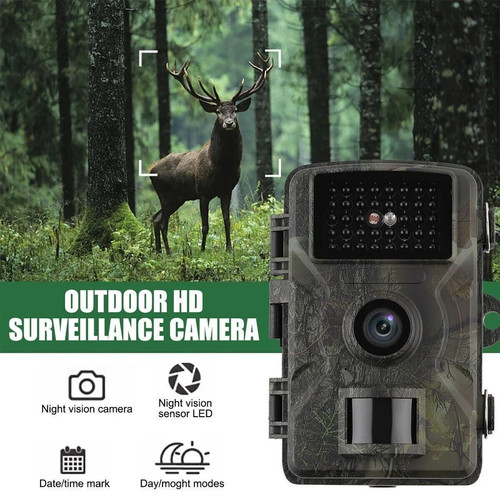 Trail wildlife camera - trail,