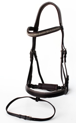 Horse english padded leather - horse,