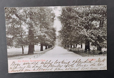 The Avenue, Ravenscourt Park 1903 Postcard