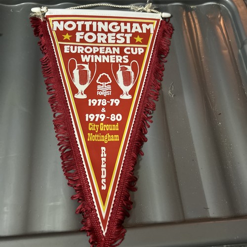 Nottingham forest - nottingham,
