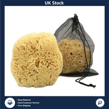 Extra Large Natural Sea Sponge