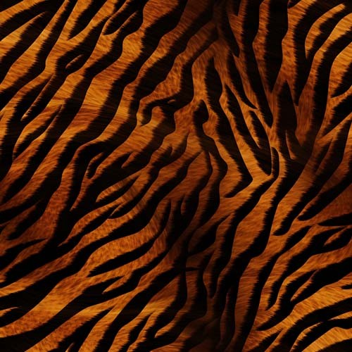 20x tiger skin - 20x,
