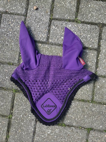 Lemieux blackberry fly - fly, hood