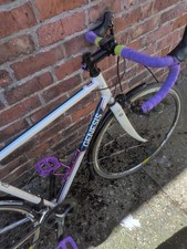 54cm Genesis Equilibrium