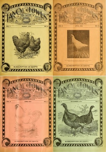 Old issues fancy - old,