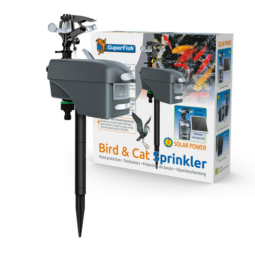 Superfish bird cat - bird, sprinkler