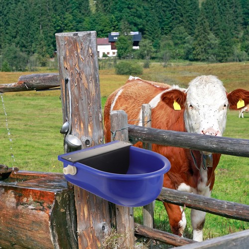 Livestock water container - livestock,