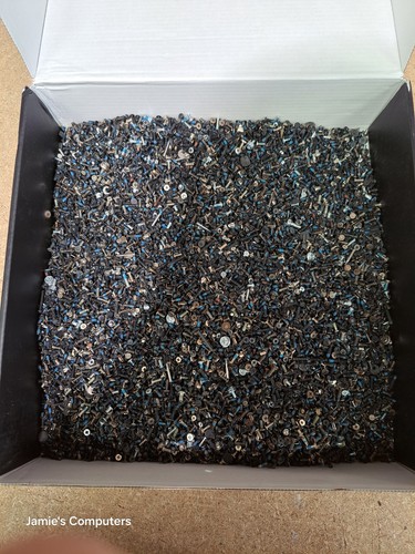 250g assorted laptop - laptop, screws
