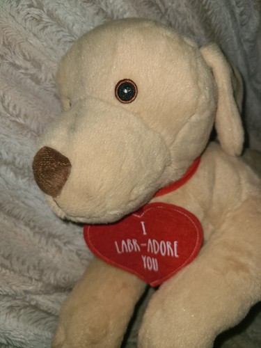 Labrador soft toy - soft,