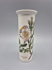 Portmeirion Botanic Garden Dog