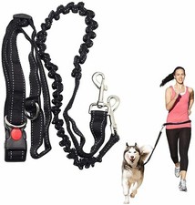 Hands Free Leash Dog Lead