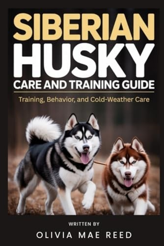 Siberian husky care and - care,