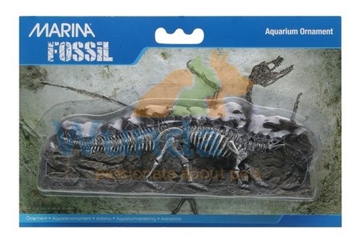 Marina jurassic world - marina,