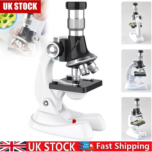 100x 600x 1200x magnification - 600x,