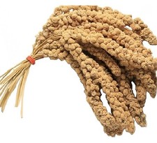 Millet spray caged - spray,