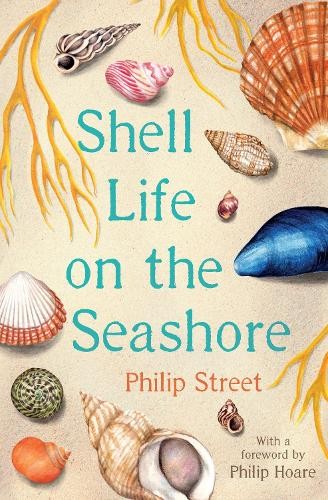Shell life the seashore - on,