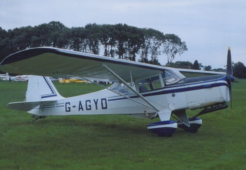 Agyd auster vintage - auster, light