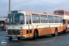 Bus Photo - SELNEC 64 AWH64L