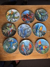 Set Of 9 Wedgewood ‘Fragile paradise’ Plates