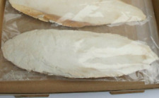 1 X MINI SNAIL SHELL HEALTH