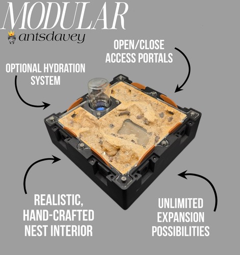 Modular medium nest - 2:2,