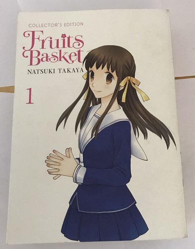 Fruits basket collector - fruits,