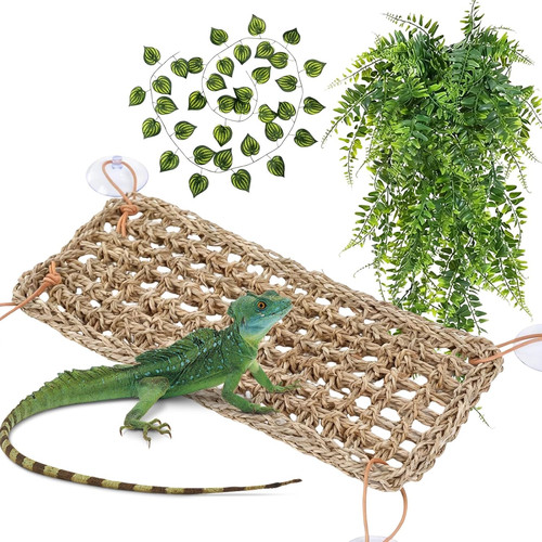 Bearded dragon accessories - bearded,