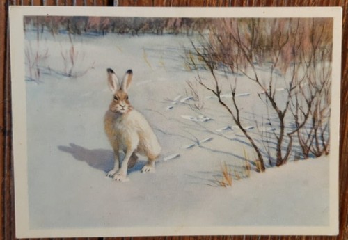 Soviet postcard 1954 - -, in