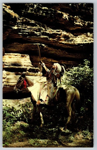 Postcard native american - postcard,