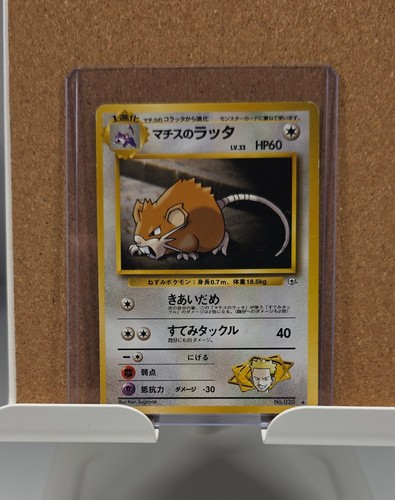 Surge raticate leaders - lt.,