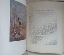 Vintage Book 1949 The Fox