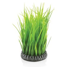 BiOrb Grass Ring - Medium