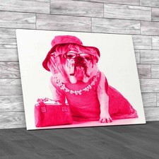 Fashionable Female English Bulldog In Stylish Pink Canvas Print Large Picture