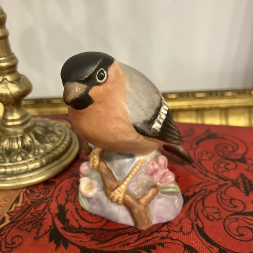 Royal worcester bullfinch - royal,