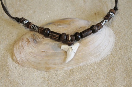 New genuine shark tooth - genuine,