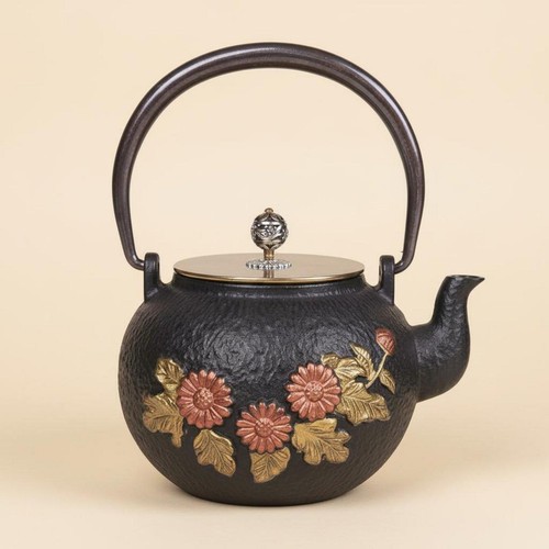 Japanese cast iron teapot - japanese,