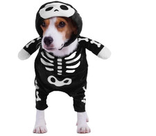 Pet Dog - SKELETON  - Fancy