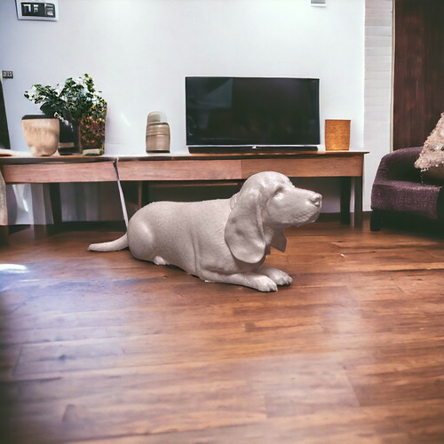 Basset hound laying - basset, dog