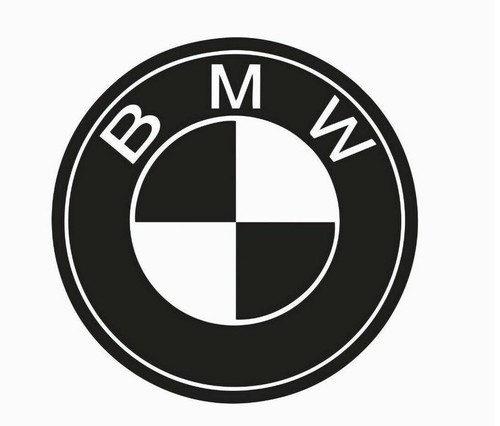 Fits logo vinyl die cut - fits,