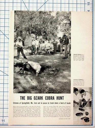 1954 ozark cobra - 1954, hunt