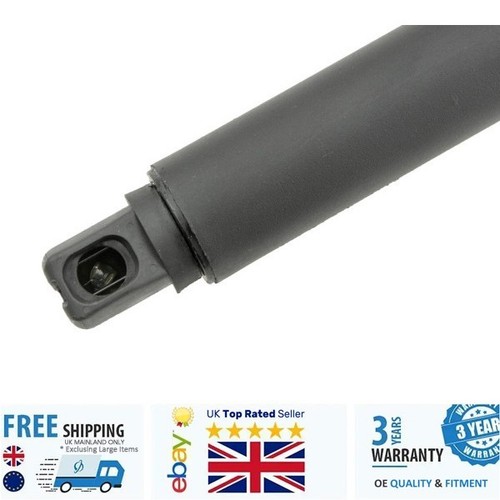 Rear left tailgate - tailgate, gas